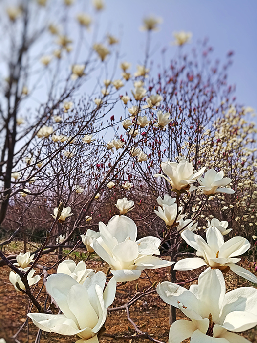 1522219934245625p434.jpg Fotor_152215057807564.jpg