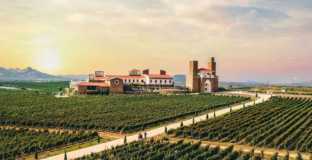 1666583674270239p496.jpg 2.jpg